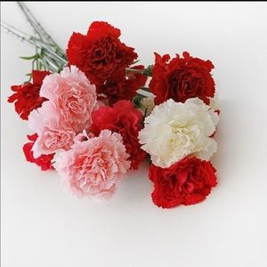 Meet your Posher, Isabella